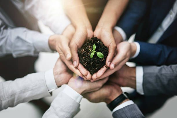 Lee más sobre el artículo 8 Características básicas de la responsabilidad social empresarial